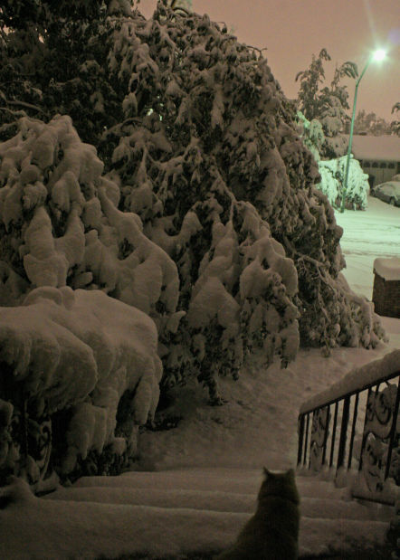 Winter Storm Atlas